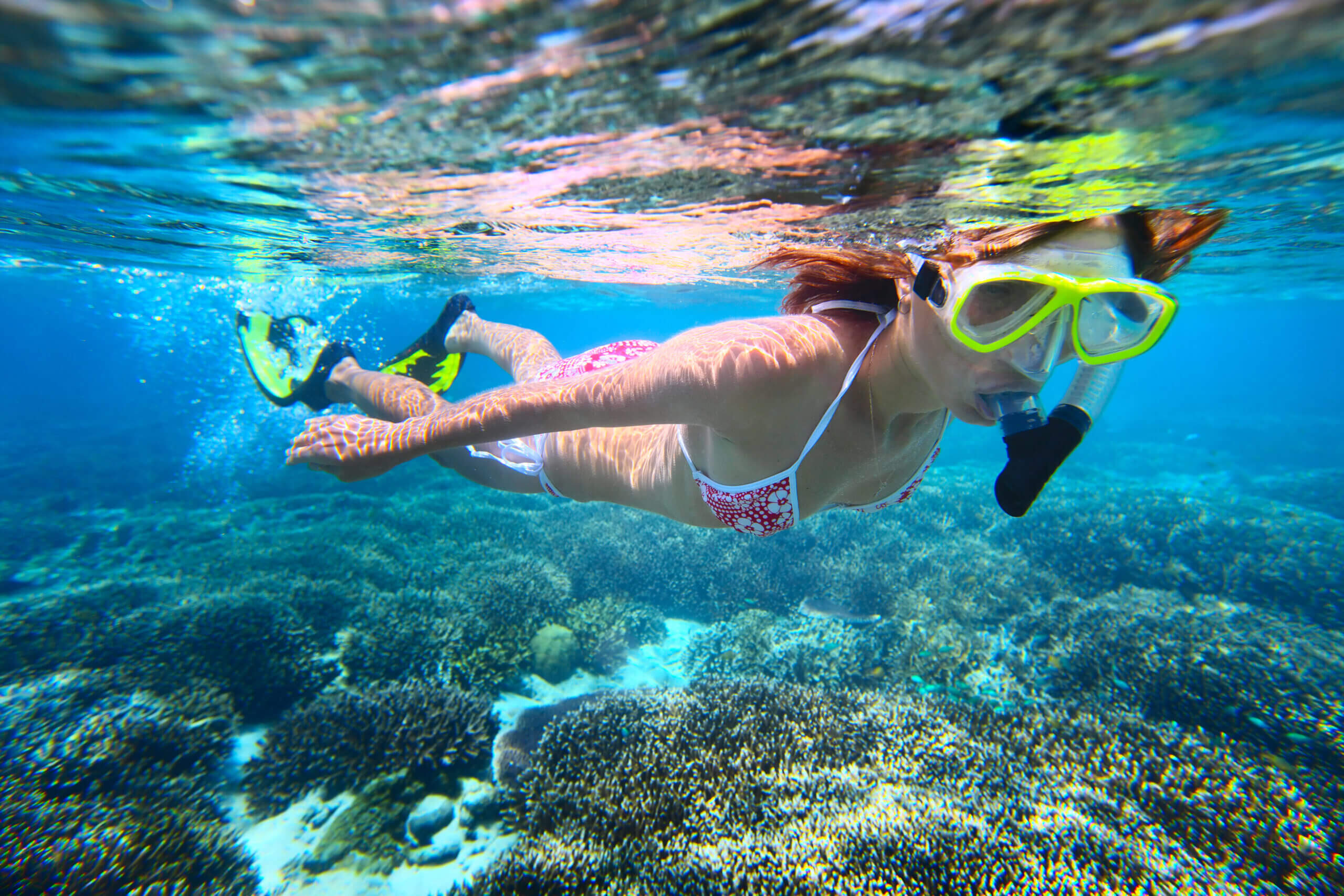 Rockstar Star Clipper Costa Rica Snorkeling