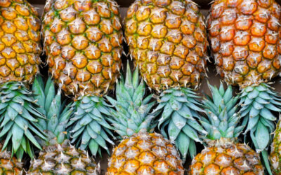 Pineapples on Virgin Voyages