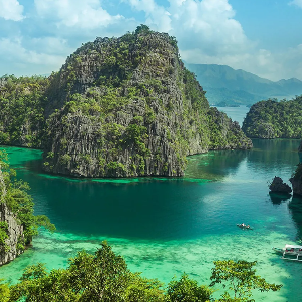 Killing Kittens Cruise