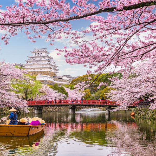 Desire Red Carpet Cruise 2020